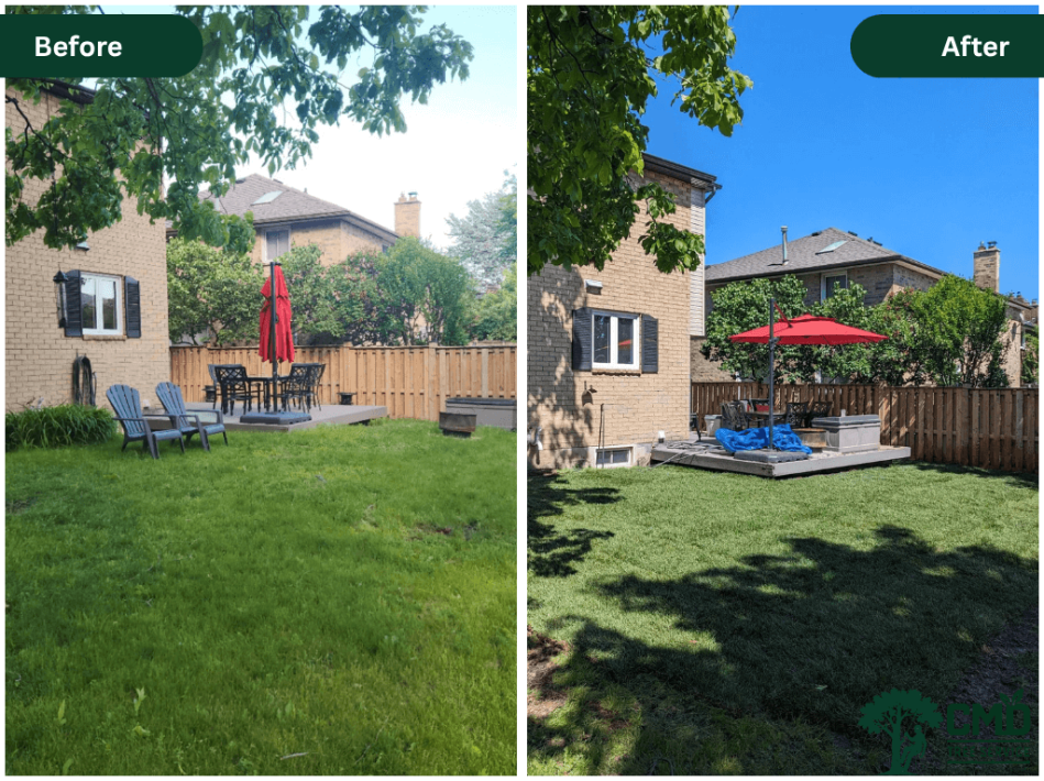 Tree Trimming & Pruning in Toronto | CMD Tree Service