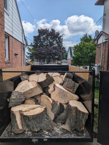 CMD Tree Service (pic3)